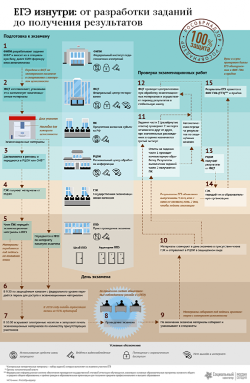 инфографика ЕГЭ