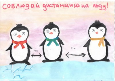пингвины (1)